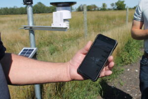 person holding cell phone looking at weather station data
