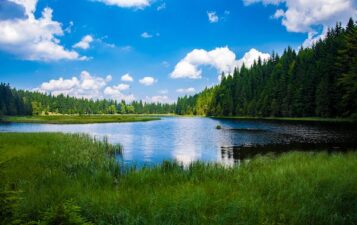 photo of lake amongst trees and grass with blue sky