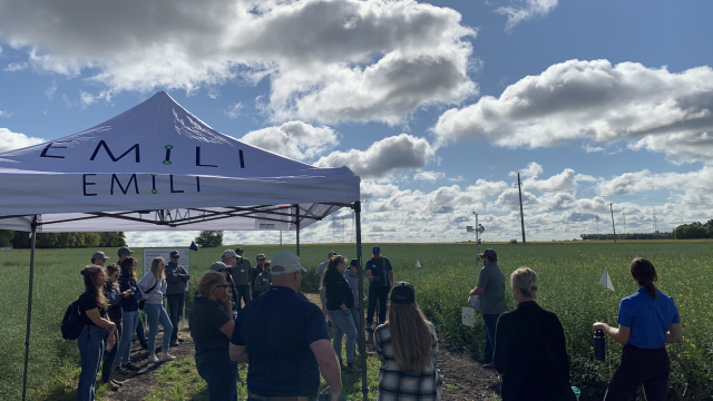 4R practices showcased at Innovation Farms