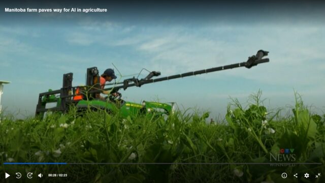 Manitoba farm paves way for AI in agriculture (CTV News Winnipeg)