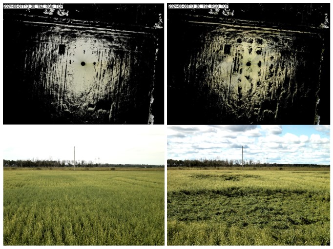 Images generated by Crop Sentry cameras provide top-down view of lodging detection in oats