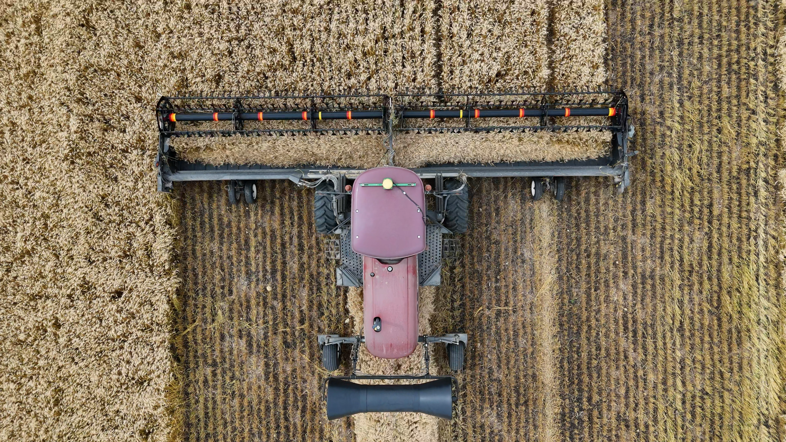 VeriGrain AccuSampler™