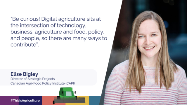 This is Agriculture: Director of Strategic Projects (CAPI)